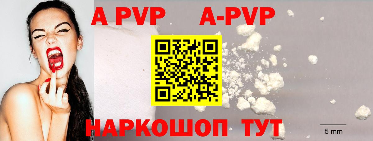 A PVP СК Аргун