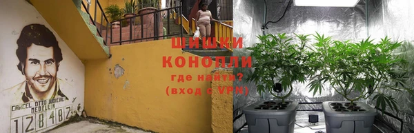 скорость Пересвет