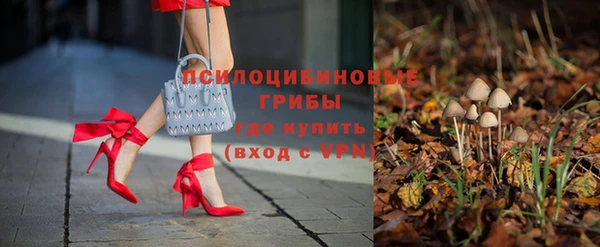 меф Переславль-Залесский