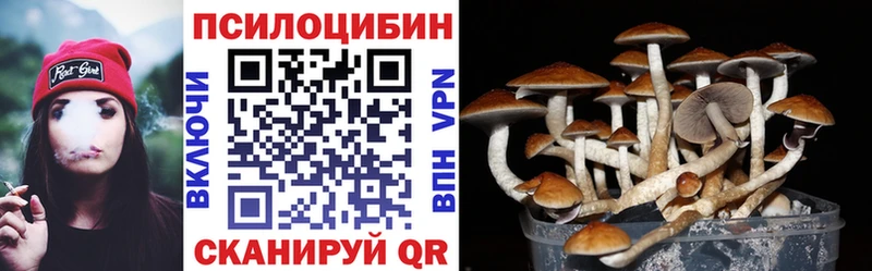 Псилоцибиновые грибы Psilocybe  Аргун 