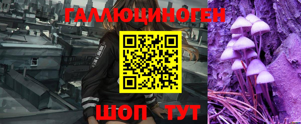 Псилоцибиновые грибы GOLDEN TEACHER  купить наркоту  Аргун 