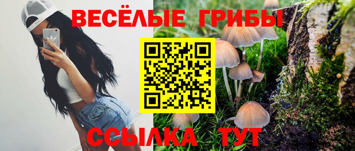 Псилоцибиновые грибы мицелий  Вход с VPN  Аргун 